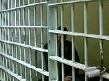 Под Петербургом по подозрению в убийстве гражданина Киргизии задержаны пятеро подростков