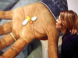 Ученые: принимающие лекарства ВИЧ-инфицированные для окружающих не опасны Ученые: принимающие лекарства ВИЧ-инфицированные для окружающих не опасны