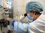 Исследователи "состарили" птиц на 40 миллионов лет Исследователи "состарили" птиц на 40 миллионов лет