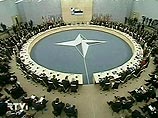 Разногласия по Афганистану ставят под угрозу будущее НАТО