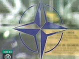 Американцы поддерживают укрепление позиций ЕС и выступают за дееспособное НАТО Американцы поддерживают укрепление позиций ЕС и выступают за дееспособное НАТО