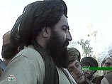 "В то время, как Омар осуществляет стратегическое руководство талибами из Кветта, бен Ладен планирует операции, будучи в Вазиристане", - отметил представитель администрации