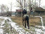 Россиянам открыли доступ к информации о земельных участках Россиянам открыли доступ к информации о земельных участках