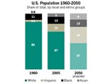 К 2050 году белые в США останутся в меньшинстве: латиноамериканцы и азиаты их вытеснят