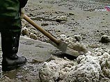 В Москве в субботу будет очень ветренно В Москве в субботу будет очень ветренно