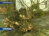 Сильный ветер в Калининградской области вызвал отключение от энергоснабжения ряда населенных пунктов, сообщили "Интерфаксу" в субботу в пресс-службе ОАО "Янтарьэнерго"