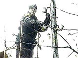 В Калининграде сильный ветер повалил деревья и обрушил линии электропередачи В Калининграде сильный ветер повалил деревья и обрушил линии электропередачи