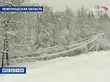 Три человека стали жертвами бурана в Новгородской области