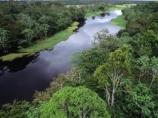 Более тысячи бразильских полицейских примут участие в операции по предотвращению вырубки лесов Амазонии