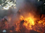 В Колумбии боевики FARC взорвали нефтепровод на юго-западе страны В Колумбии боевики FARC взорвали нефтепровод на юго-западе страны