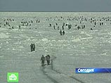 У Сахалина в море уносит льдину с сотнями рыбаков