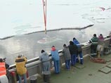 Глобальное потепление, вероятно, приведет к опасному столкновению России с Западом из-за огромных минеральных богатств Арктики Глобальное потепление, вероятно, приведет к опасному столкновению России с Западом из-за огромных минеральных богатств Арктики