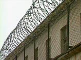 В Пермском крае разбитый аквариум заключенному засчитали за побег В Пермском крае разбитый аквариум заключенному засчитали за побег