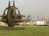 Вашингтон в апреле намерен убедить страны НАТО, что Грузия и Украина должны войти в Альянс
