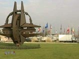 Вашингтон в апреле намерен убедить страны НАТО, что Грузия и Украина должны войти в Альянс
Вашингтон в апреле намерен убедить страны НАТО, что Грузия и Украина должны войти в Альянс