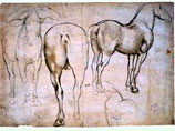 Леонардо да Винчи, автор сотен рисунков с изображениями животных и растений, а также чертежей, передающих строение внутренних органов живых существ