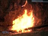 В Новгородской области в минувший понедельник произошел взрыв газа на магистральном газопроводе Торжок-Псков-Рига В Новгородской области в минувший понедельник произошел взрыв газа на магистральном газопроводе Торжок-Псков-Рига