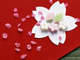В Японии официально объявлено о начале цветения сакуры