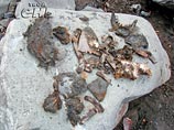 Начинается экспертиза останков, найденных в Кармадонском ущелье, где пропала группа Бодрова Начинается экспертиза останков, найденных в Кармадонском ущелье, где пропала группа Бодрова