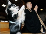 В одном из буддийских храмов Японии собаку научили  "молиться"