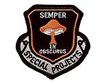 Засекреченные военные исследования США расшифрованы через эмблемы Засекреченные военные исследования США расшифрованы через эмблемы