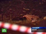 На западе Москвы мужчина утонул в жидкой грязи, которая скопилась в брошенной яме
