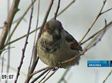 Воскресенье в столице будет теплым. Возможен даже температурный рекорд Воскресенье в столице будет теплым. Возможен даже температурный рекорд