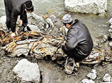 Родственники пропавшего под ледником в Кармадоне сдали анализы для ДНК-идентификации найденных останков