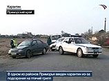 Птичий грипп в Приморье подтвержден, эпидемию удалось остановить Птичий грипп в Приморье подтвержден, эпидемию удалось остановить