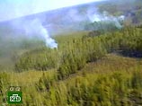 В Приморье создается единая диспетчерская служба для координации усилий при тушении лесных пожаров