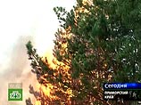 В Приморье создается единая диспетчерская служба для координации усилий при тушении лесных пожаров В Приморье создается единая диспетчерская служба для координации усилий при тушении лесных пожаров