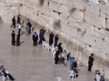Стену Плача в Иерусалиме перед Песахом очистят от записок, а летом укрепят кладку