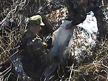Россия начинает новый этап помощи сербам в Косово Россия начинает новый этап помощи сербам в Косово