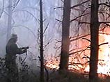В Приморье, Туве и на Алтае площадь лесных пожаров увеличилась за сутки в 2-3 раза