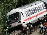 В Германии поезд столкнулся с отарой овец - 23 пассажира пострадали