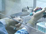 Распространение вируса в городе Фуян и близлежащих уездах было зафиксировано в начале марта 2008 года, когда были зарегистрированы 789 заболевших