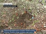 В Грозном при взрыве фугаса погибли четверо милиционеров, один ранен В Грозном при взрыве фугаса погибли четверо милиционеров, один ранен