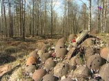 В Новгородской области проходят массовые перезахоронения останков погибших в годы Великой Отечественной войны  