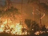 В штате Флорида бушуют лесные пожары, объявлено чрезвычайное положение