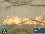 В Красноярском и Хабаровском крае, Прибайкалье, Туве и на Алтае уже сгорели около 30 тысяч гектаров леса