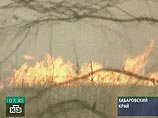 В Красноярском и Хабаровском крае, Прибайкалье, Туве и на Алтае уже сгорели около 30 тысяч гектаров леса В Красноярском и Хабаровском крае, Прибайкалье, Туве и на Алтае уже сгорели около 30 тысяч гектаров леса
