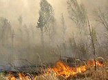 МЧС: число природных пожаров в России за сутки увеличилось в полтора раза