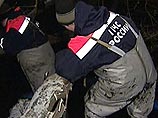 В Пермском крае прорвало нефтепровод, в реки Тулва и Кама попало до 10 тонн нефти В Пермском крае прорвало нефтепровод, в реки Тулва и Кама попало до 10 тонн нефти