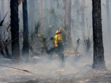 В штате Флорида арестован поджигатель. Власти ищут еще виновных в возникновении лесных пожаров