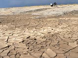 Уничтожение диких животных ведет к еще большим катаклизмам планетарного масштаба, утверждают ученые
Уничтожение диких животных ведет к еще большим катаклизмам планетарного масштаба, утверждают ученые