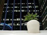 Самый простой способ улучшить условия работы в офисе - озеленить его, установили ученые Самый простой способ улучшить условия работы в офисе - озеленить его, установили ученые