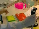 Британский парламент принял революционное решение: разрешено создавать гибриды человека с животным Британский парламент принял революционное решение: разрешено создавать гибриды человека с животным