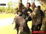 Саакашвили возводит "Пик нечеловечности". В обстреле грузинских автобусов обвинили Россию Саакашвили возводит "Пик нечеловечности". В обстреле грузинских автобусов обвинили Россию