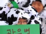 Премьер-министр Южной Кореи потребовал сурово наказать участников стихийных демонстраций против импорта говядины из США