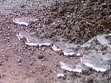 Вокруг колб на площади около 10-15 квадратных метров были капли ртути Вокруг колб на площади около 10-15 квадратных метров были капли ртути